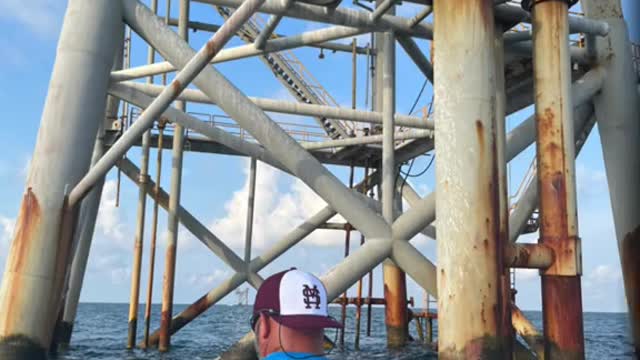 #gulfofamerica #CatchChobaniOatmilk #gulfofamericatackleco #AmazonVirtualTryOn #MadewithKAContest #R