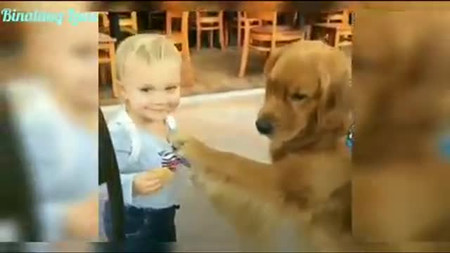 Funniest Animals