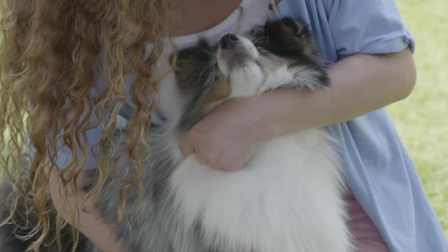 What greater gift than love of a Dog - Cute dog showing love to owner videos
