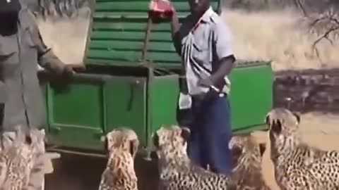 Normal day in Africa.....