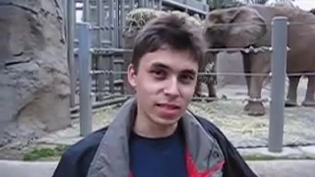 THE SHORTEST VIDEO IN A ZOO 🐘🐘