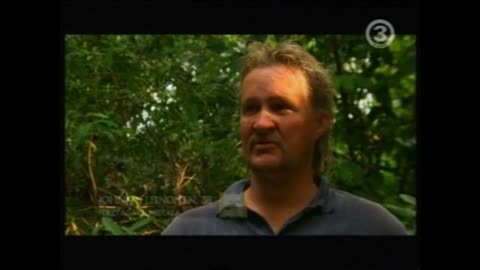 Robinson S08E22