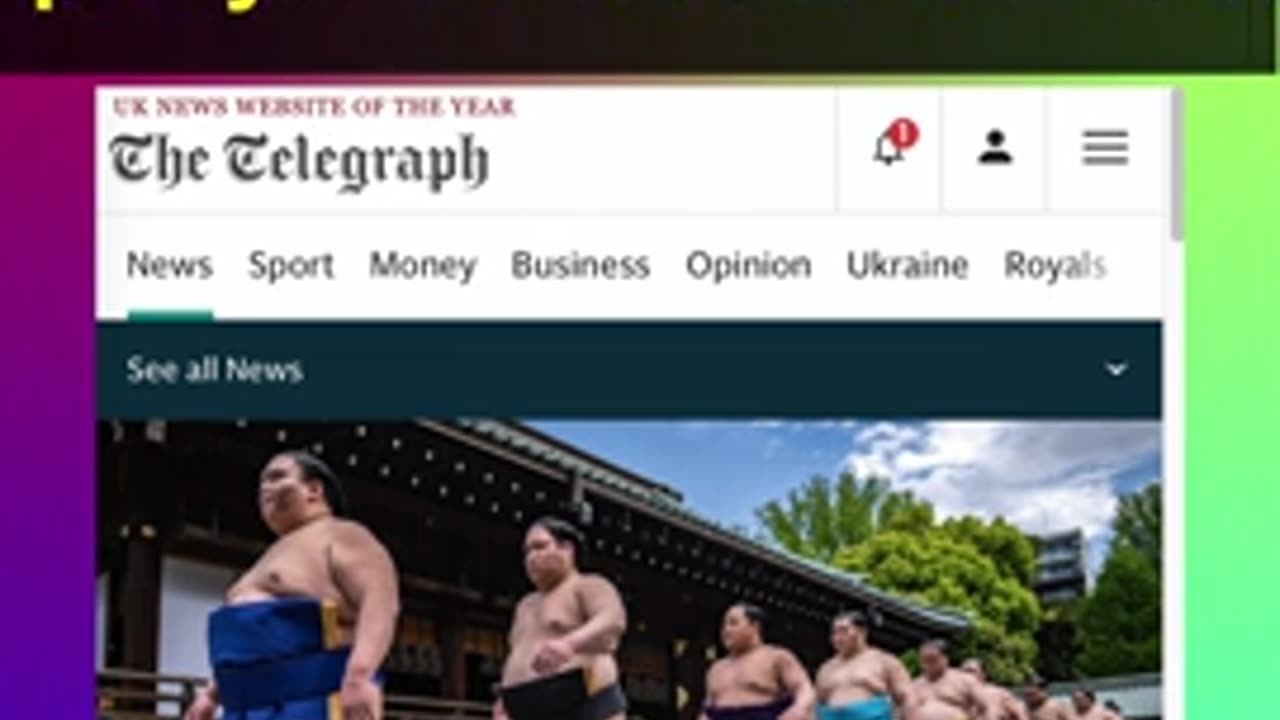 Sumo-re weight for Japan Airlines