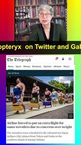 Sumo-re weight for Japan Airlines