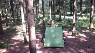 woodland wildcamping pictures 25th to 27th part 1