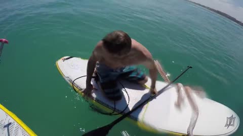 Giant Squid Attacks Surf Board!z