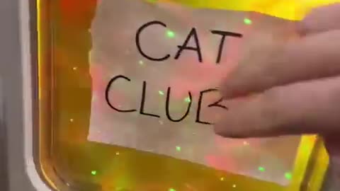 Cat Club! #shorts30 #viral #catclub #cat #videos #shorts #dog