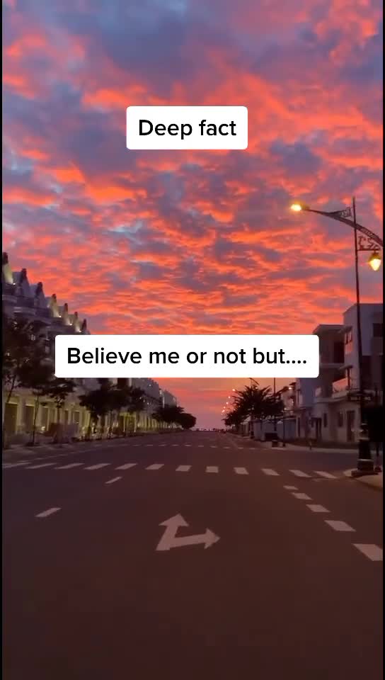 Deep fact