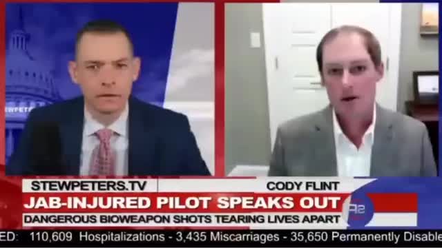 Pilot blacks out mid air