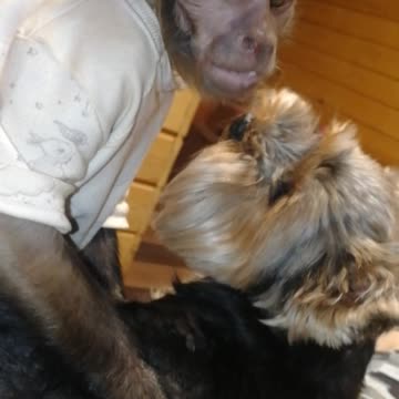 Массаж от Мироши