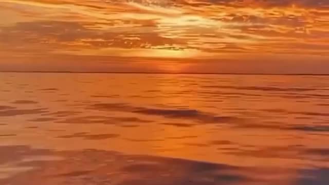 very beautiful video