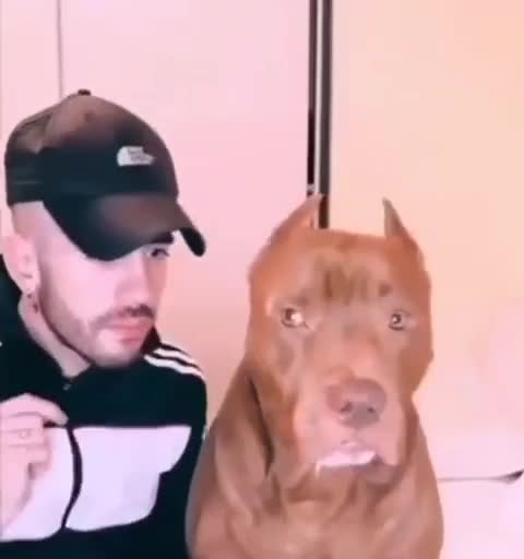 which one was the meanest?