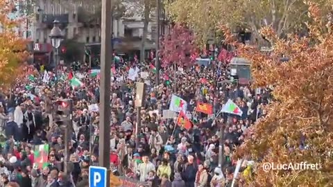 Rome Palestinian Protest