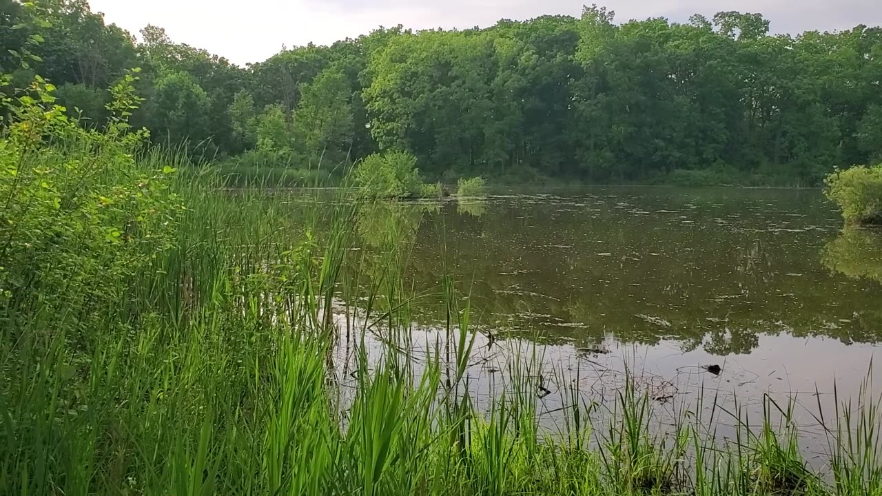 Neighborhood Pond at Sunset