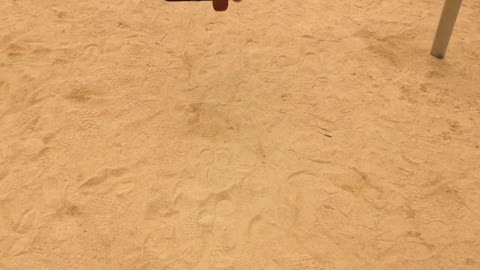 The child seems to be enjoying the swing on the swing