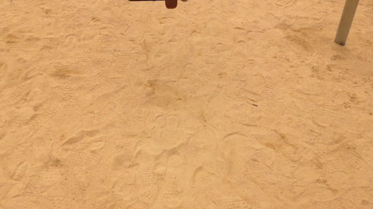 The child seems to be enjoying the swing on the swing