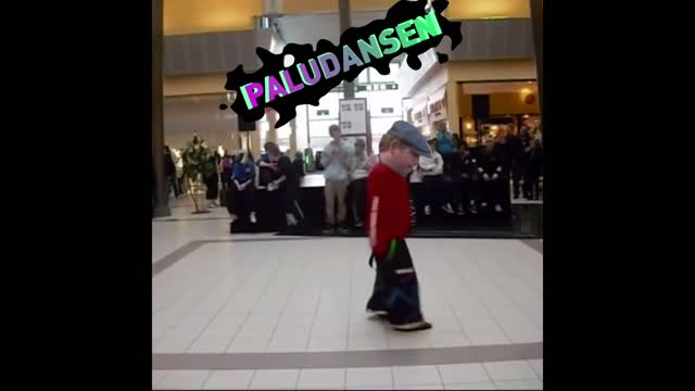 Paludansen