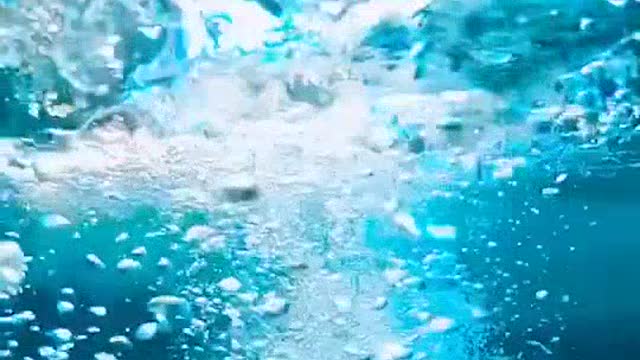 The beauty of the underwater world of the ocean / relaxation and enjoyment