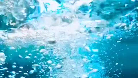 The beauty of the underwater world of the ocean / relaxation and enjoyment