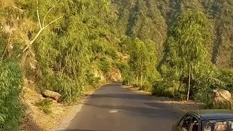 Nature
