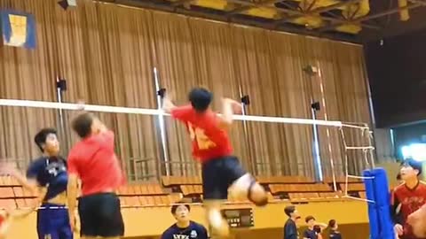 wonderful volleyball