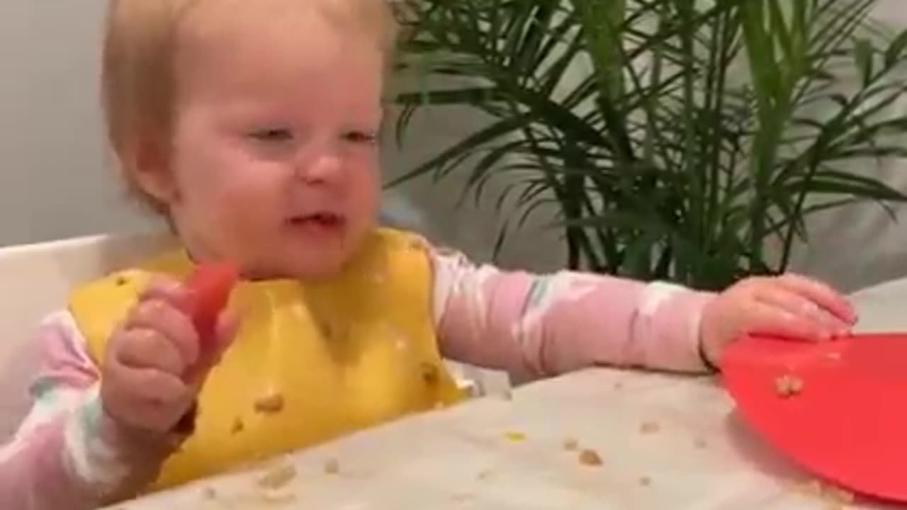 Funny children's reactions when eating lemons