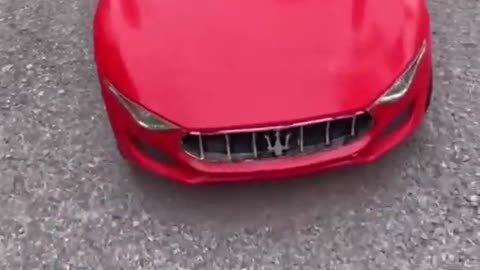 Cutest Puppies Dog Doing Funny Things