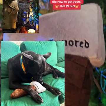 Squeaky axe Chew Toy 🪓🐕🪓 link in bio🔰🗡👑🪓