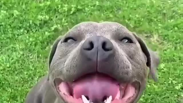 If this doesn't warm your hear nothing will😍