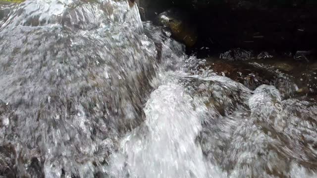 Clear river in the middle of the forest