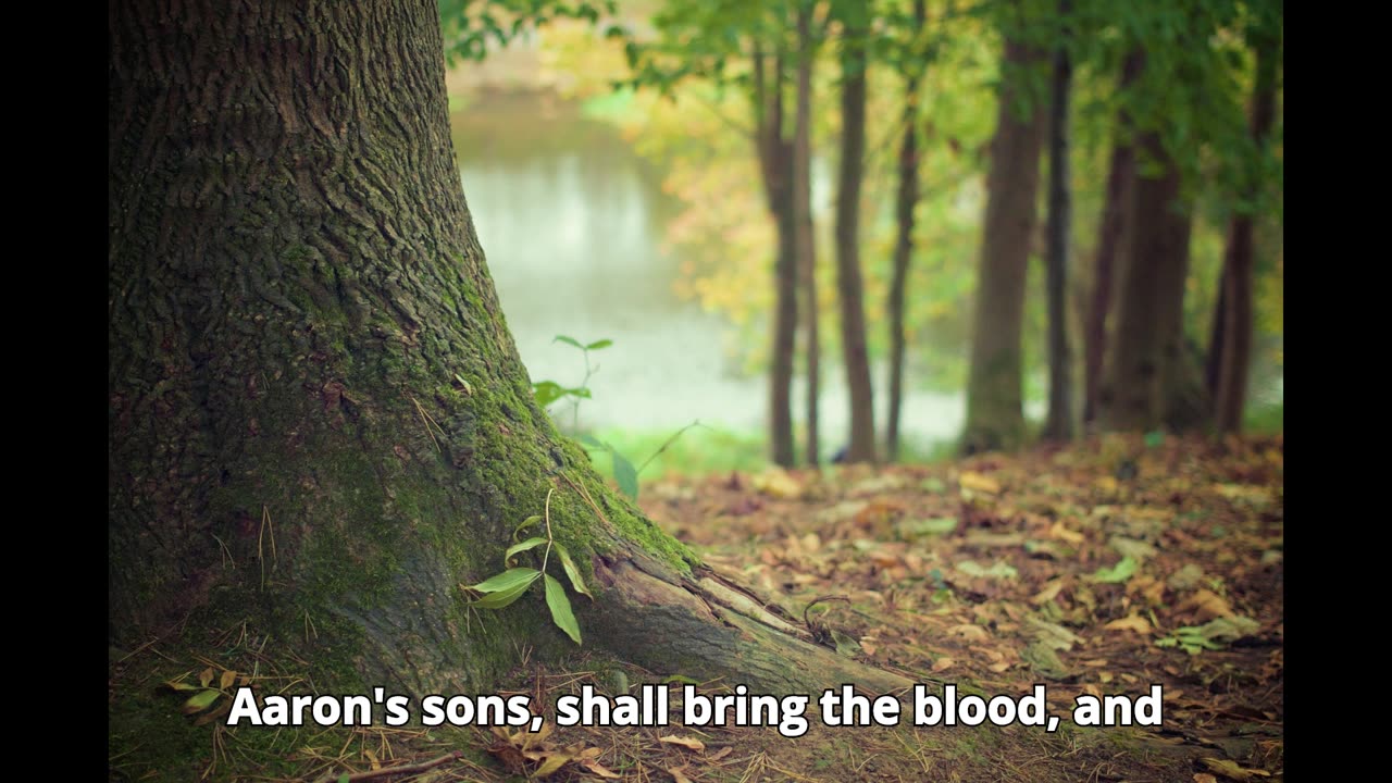 Leviticus Chapter 1