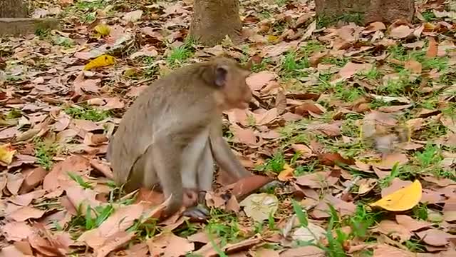 wow why you show to your grandmother like this_