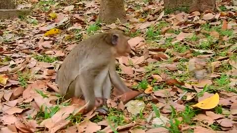 wow why you show to your grandmother like this_