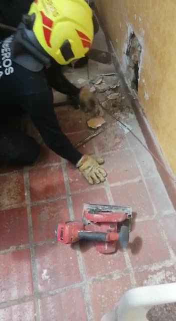 Bomberos de Bucaramanga rescataron a un gato que había quedado atrapado