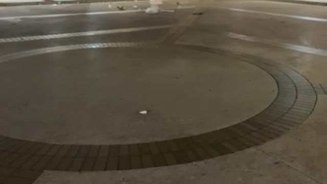 sd xdsv dvdsv