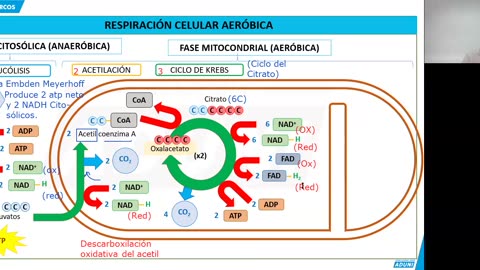 REPASO ADUNI 2024 | Semana 03 | Biología