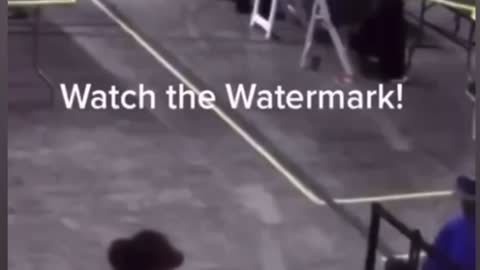 Audit of Arizona election