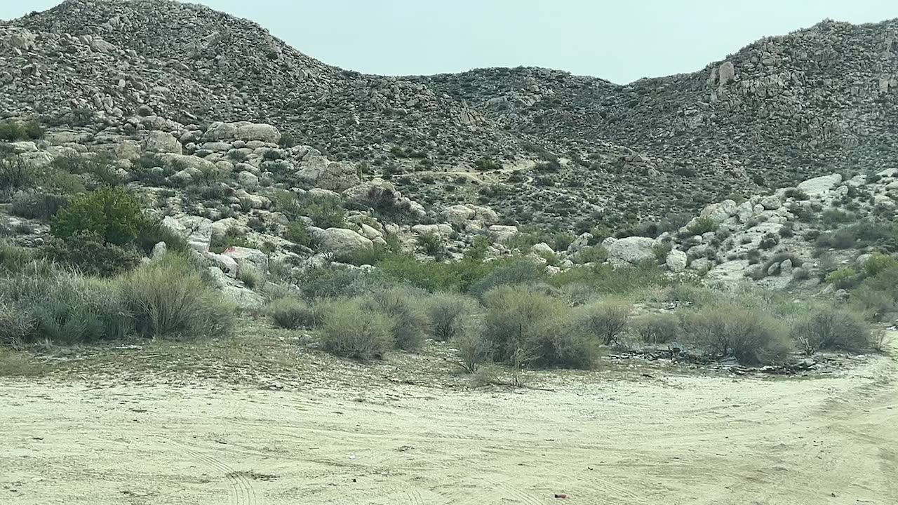 Live - Border - Jacumba CA - Waiting For Groups to Crossover