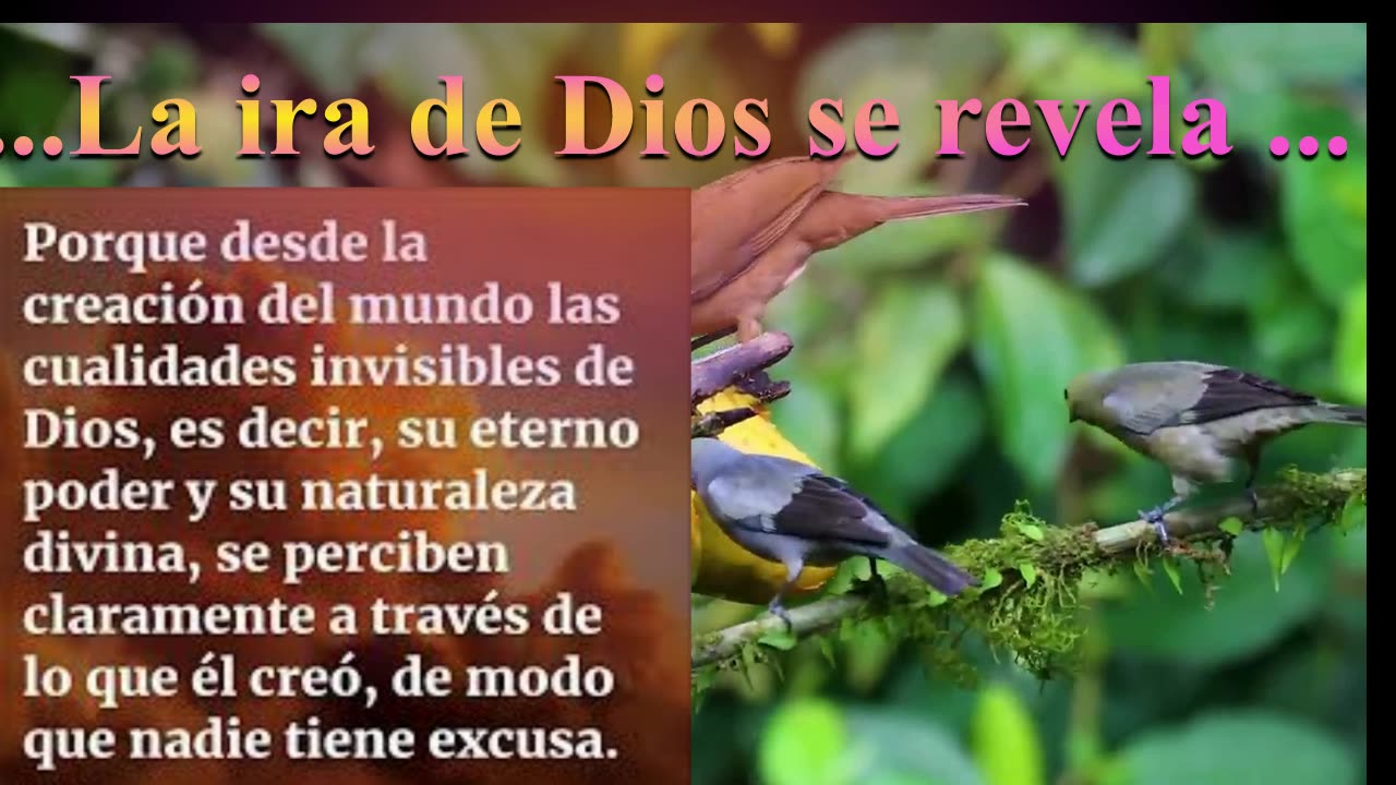 ..LA IRA DE DIOS SE REVELA... _Devocional