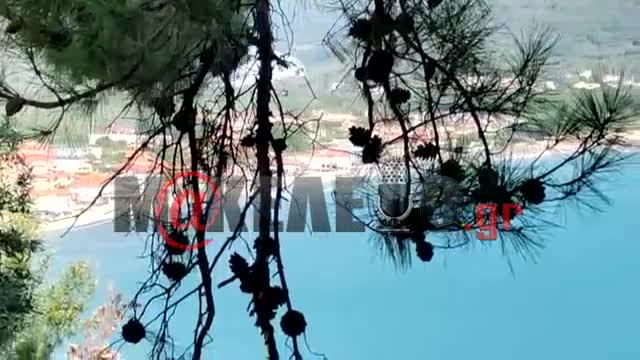 Φωτιά Θάσος