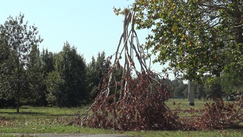 Alberi caduti dopo il nubifragio a Milano