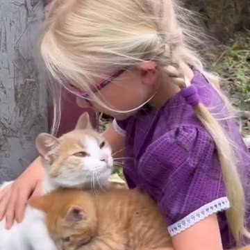 Cat introduces her kitten to a little girl..🐈🐾👧🥰