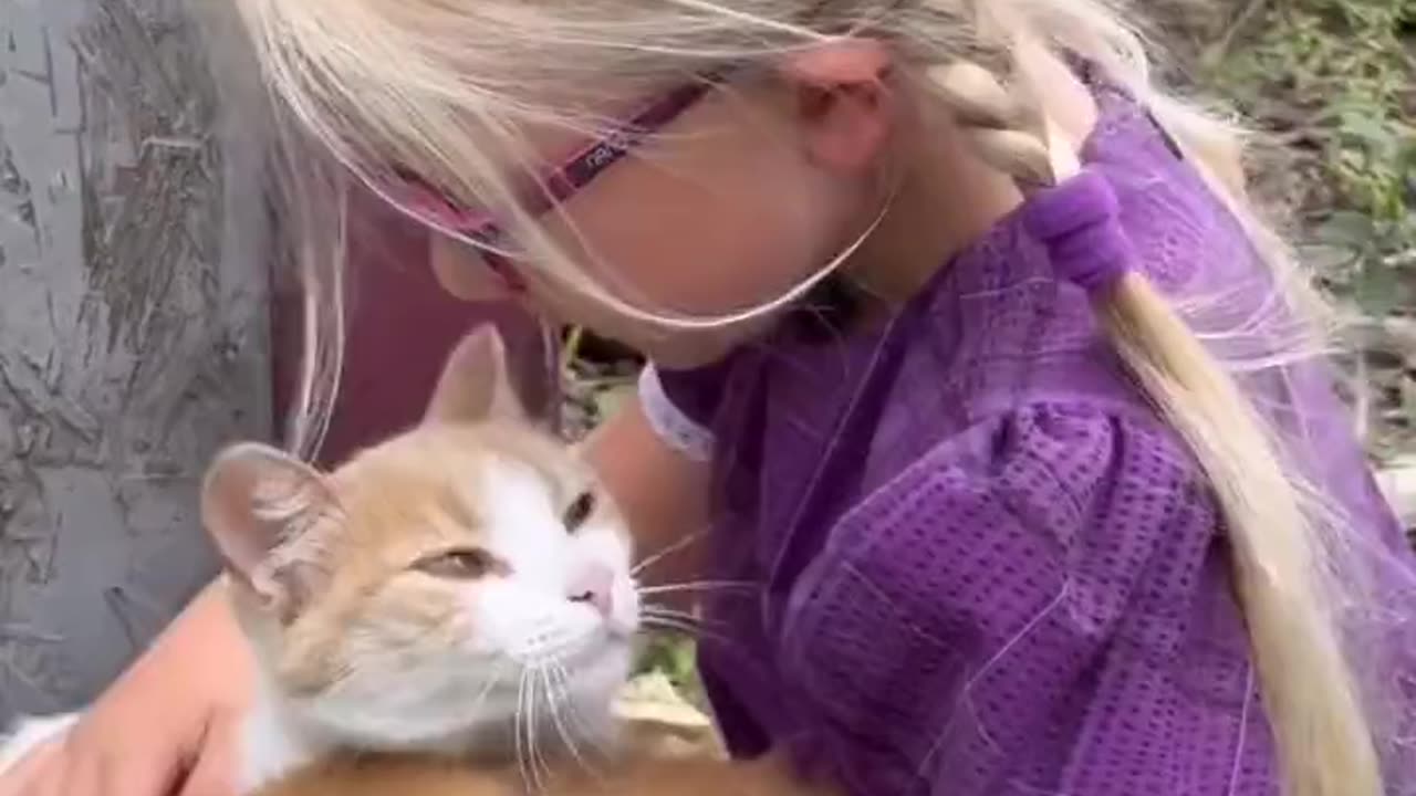 Cat introduces her kitten to a little girl..🐈🐾👧🥰