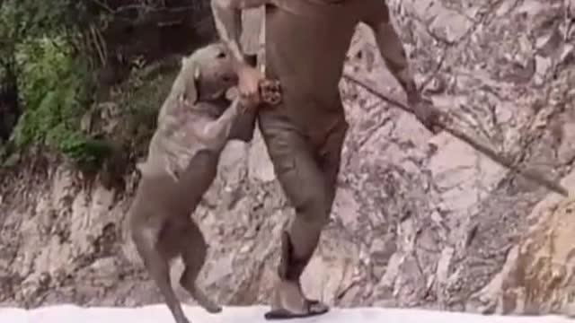 Chinese funny video captions.