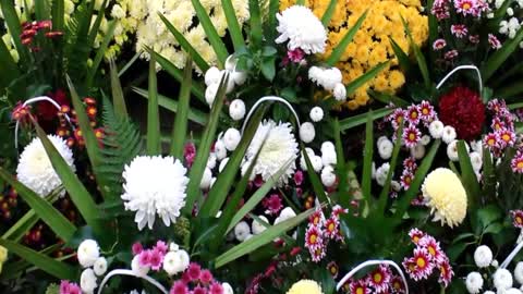 Šibenik: Obilježavanje blagdana Svih Svetih