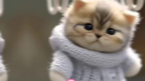 "Meowster of Mischief: The Hilarious Adventures of a Purr-fectly Funny Cat"