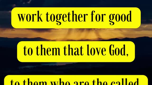 Bible Verse For the Day... And we know that all things work together for good to them that love God