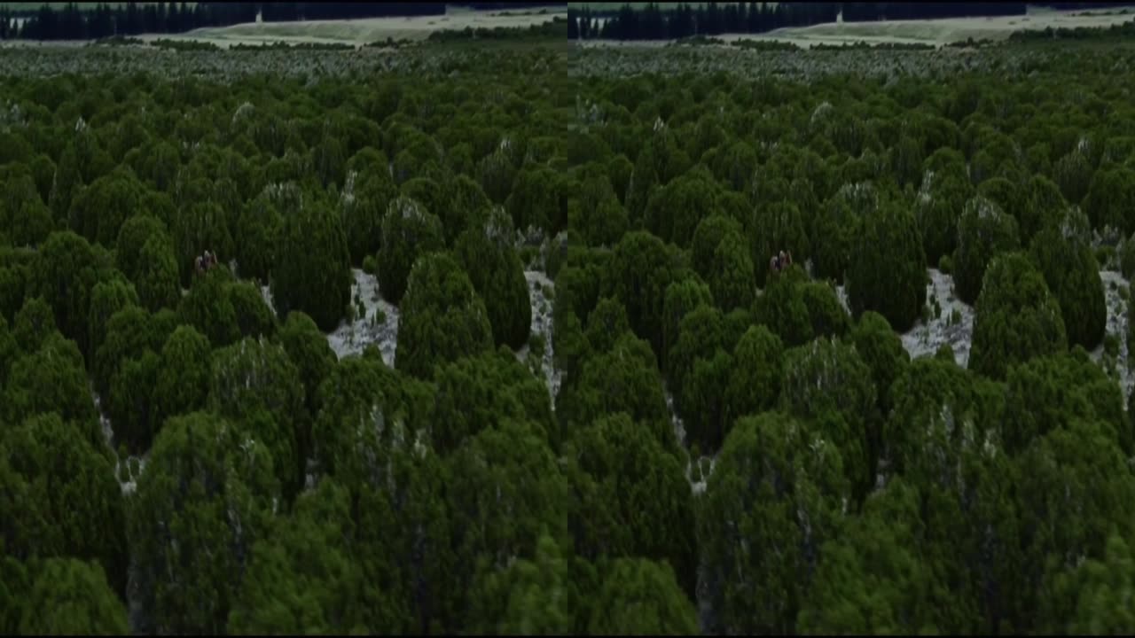 3D The.Lord.of.the.Rings 4K L 4K R SUPER SCALE 60% MORE DEPTH P27