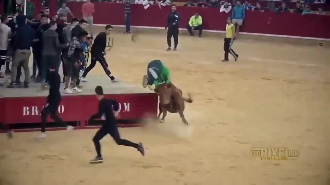 Bulls, bullfighting, Spain, matador