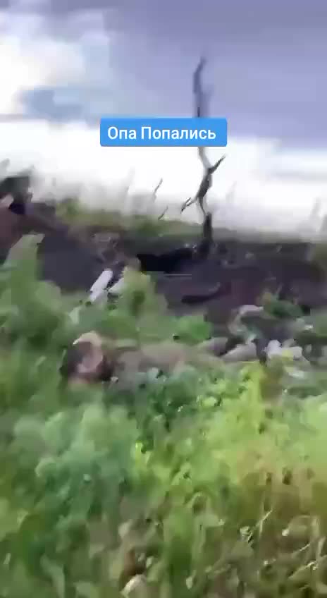 A Few More Surrender